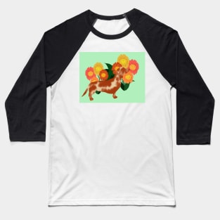 Nosey Dachshund 2 Baseball T-Shirt